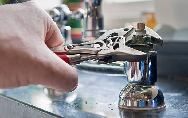 Best Mold removal after water damage  in Thompsons Station, TN