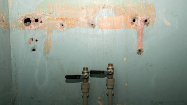 Best Emergency water damage restoration  in Thompsons Station, TN