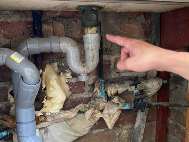 Best Ceiling water damage repair  in Thompsons Station, TN