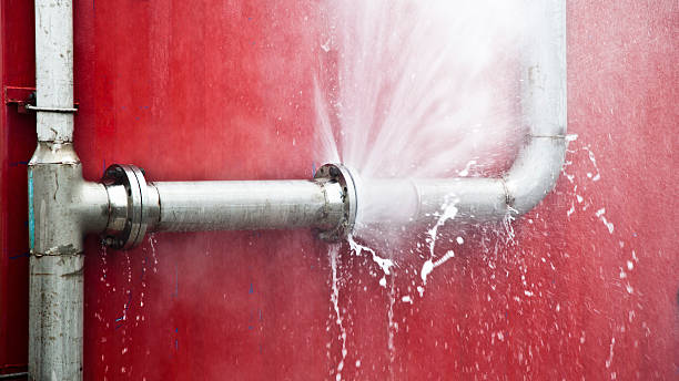 Best Local water damage restoration  in Thompsons Station, TN