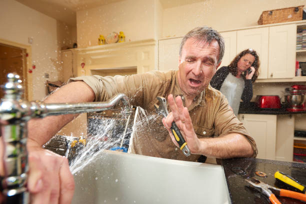 Best Flooded house restoration  in Thompsons Station, TN